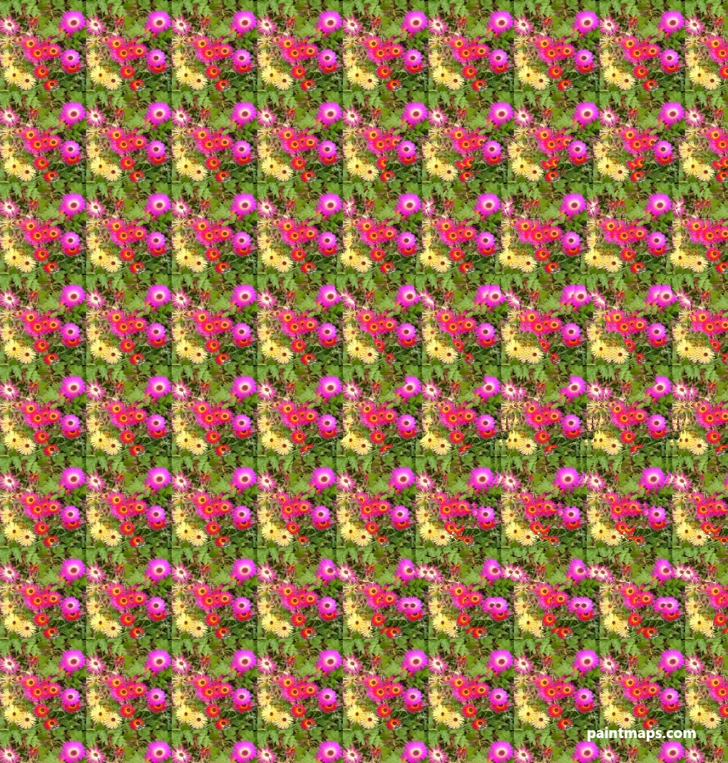 New-Jersey Haritası - 3D Stereogram (Şaşı Bak Şaşır)